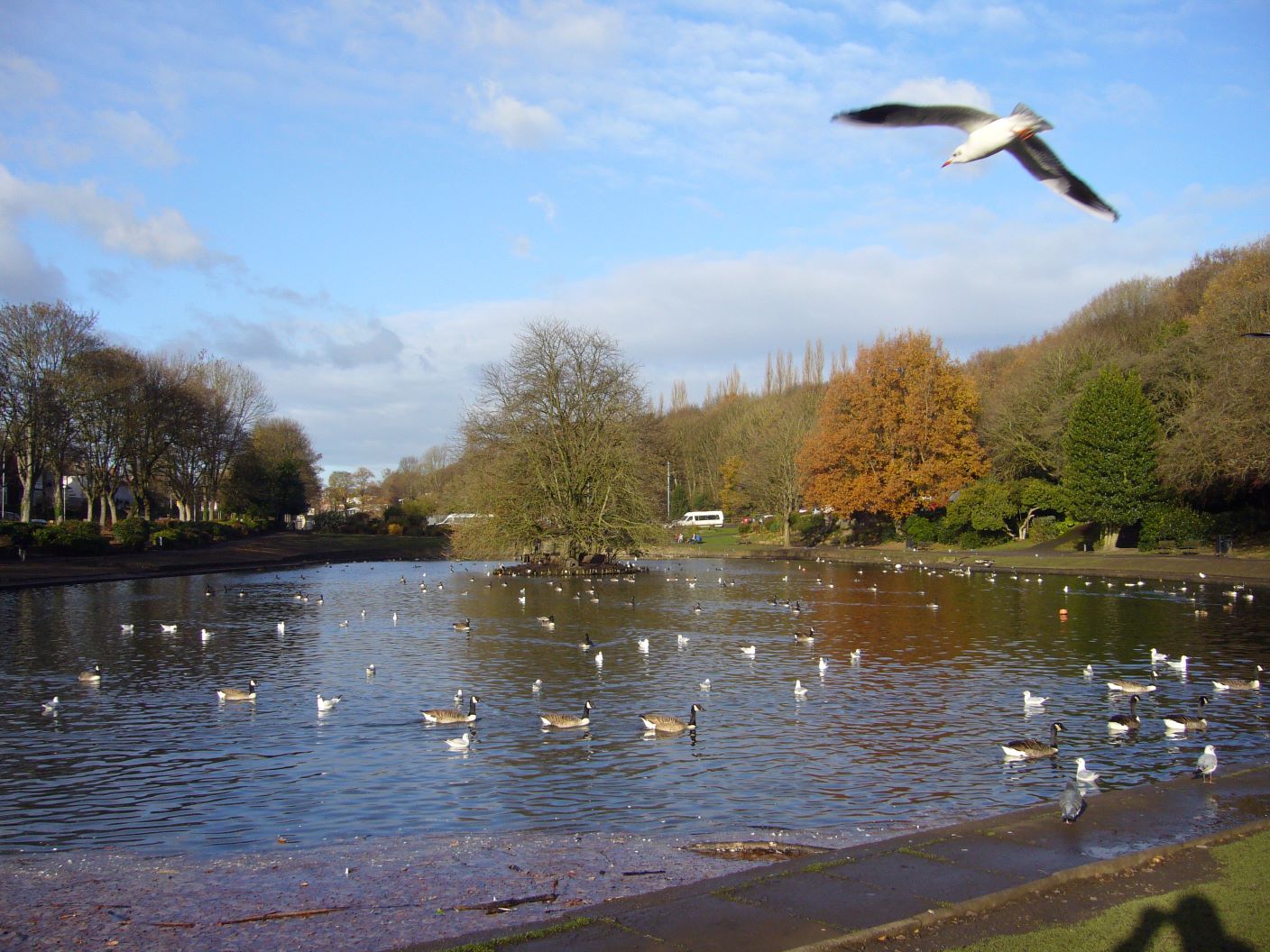 WiltonPark_chapter3